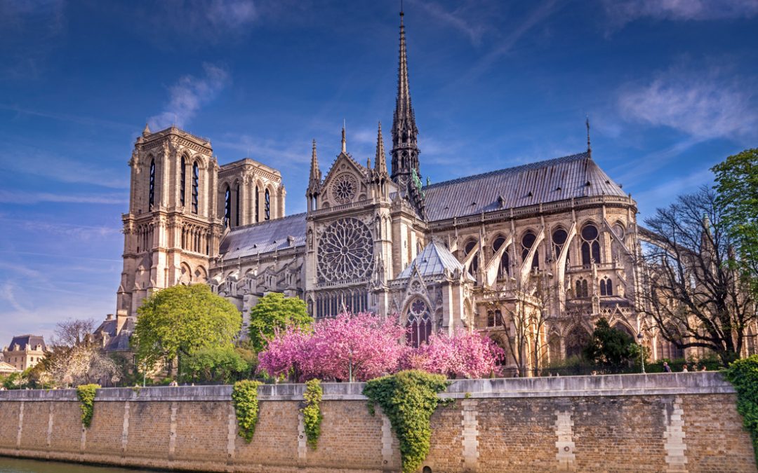 Notre-Dame, star de la littérature